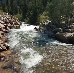 Meet your Posher, Tammy